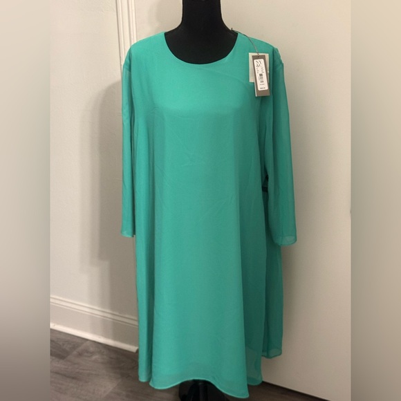 eva mendes for New York & Company Dresses & Skirts - NWT NY & Co Sea Foam Green Sleeved Dress